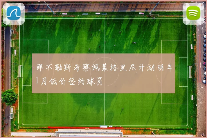 那不勒斯考察佩莱格里尼计划明年1月低价签约球员
