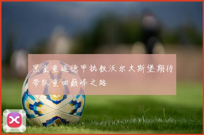 黑金重返德甲执教沃尔夫斯堡期待带队重回巅峰之路